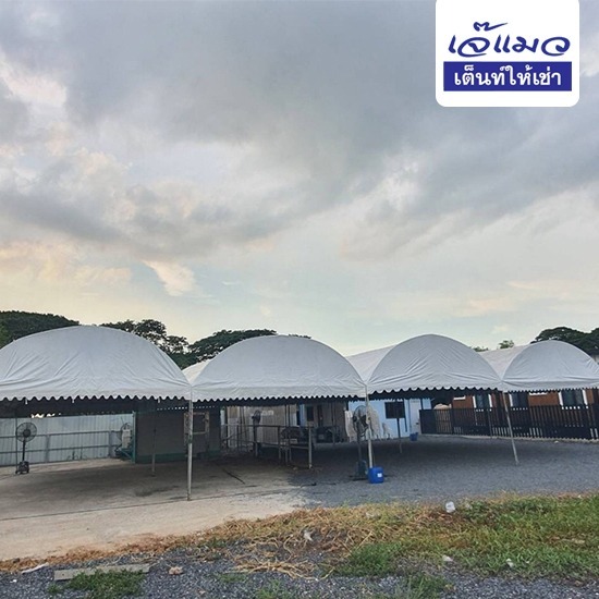 เต็นท์เช่ารายเดือนราคาถูก - เจ๊แมว เต็นท์เช่า บางเขน เต็นท์เช่ารายเดือนราคาถูก - เจ๊แมว เต็นท์เช่า บางเขน